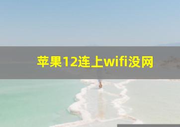 苹果12连上wifi没网