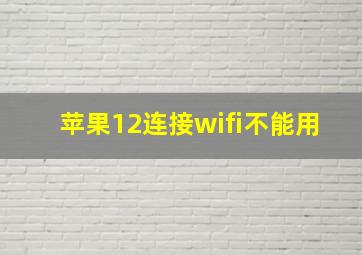 苹果12连接wifi不能用