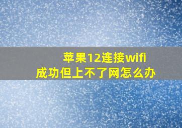 苹果12连接wifi成功但上不了网怎么办