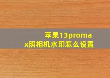 苹果13promax照相机水印怎么设置