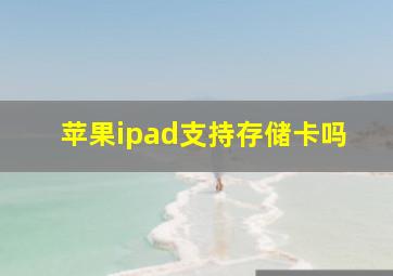 苹果ipad支持存储卡吗