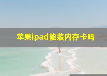 苹果ipad能装内存卡吗