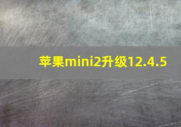 苹果mini2升级12.4.5