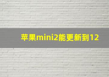 苹果mini2能更新到12