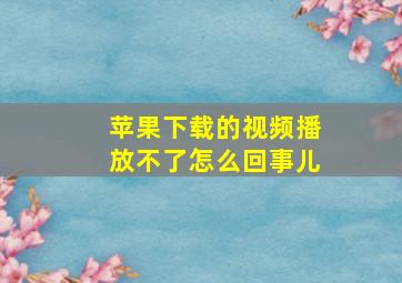 苹果下载的视频播放不了怎么回事儿