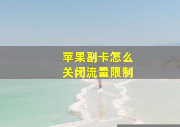 苹果副卡怎么关闭流量限制