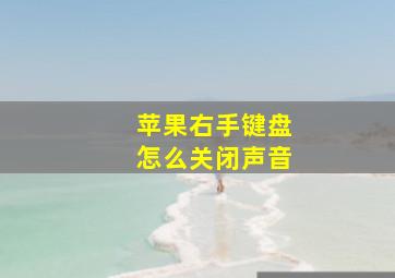 苹果右手键盘怎么关闭声音