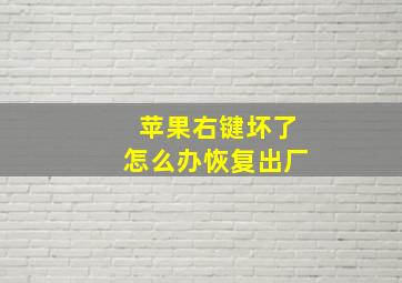 苹果右键坏了怎么办恢复出厂