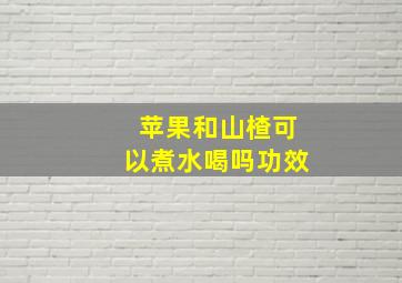 苹果和山楂可以煮水喝吗功效