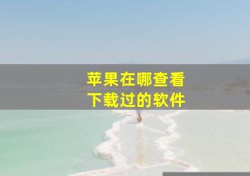 苹果在哪查看下载过的软件