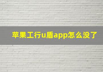 苹果工行u盾app怎么没了