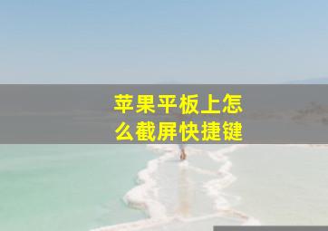 苹果平板上怎么截屏快捷键