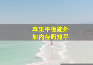 苹果平板能外加内存吗知乎