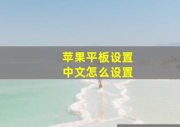 苹果平板设置中文怎么设置