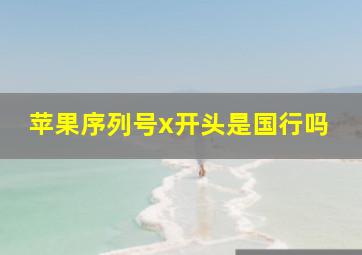 苹果序列号x开头是国行吗