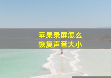 苹果录屏怎么恢复声音大小