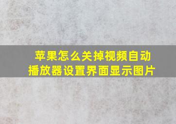 苹果怎么关掉视频自动播放器设置界面显示图片