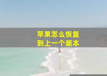 苹果怎么恢复到上一个版本