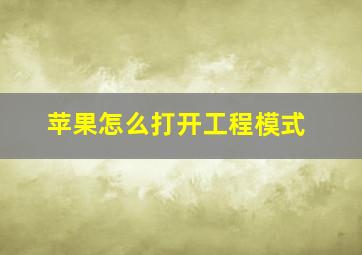 苹果怎么打开工程模式