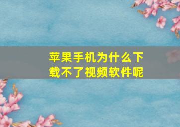 苹果手机为什么下载不了视频软件呢