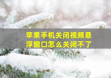 苹果手机关闭视频悬浮窗口怎么关闭不了