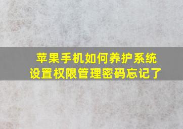 苹果手机如何养护系统设置权限管理密码忘记了