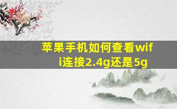 苹果手机如何查看wifi连接2.4g还是5g