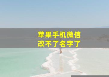 苹果手机微信改不了名字了