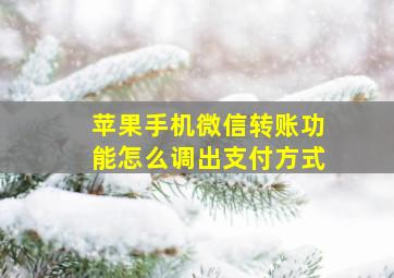 苹果手机微信转账功能怎么调出支付方式