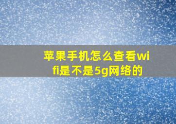 苹果手机怎么查看wifi是不是5g网络的