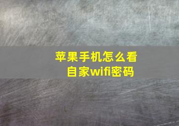 苹果手机怎么看自家wifi密码