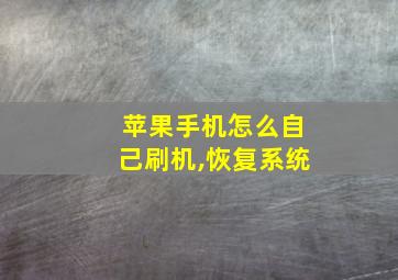 苹果手机怎么自己刷机,恢复系统