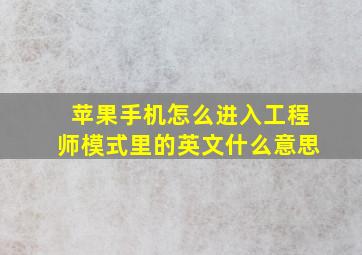 苹果手机怎么进入工程师模式里的英文什么意思