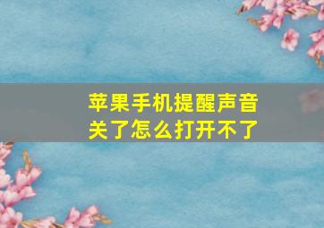 苹果手机提醒声音关了怎么打开不了