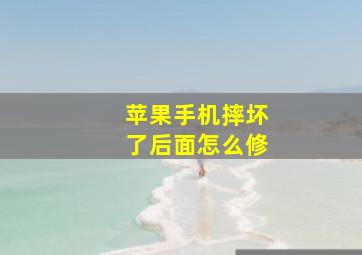 苹果手机摔坏了后面怎么修