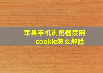 苹果手机浏览器禁用cookie怎么解除