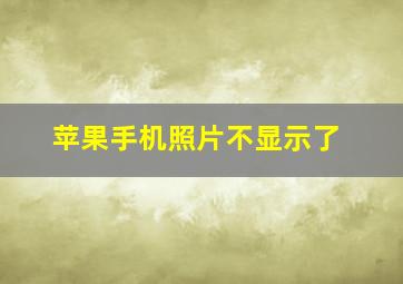 苹果手机照片不显示了