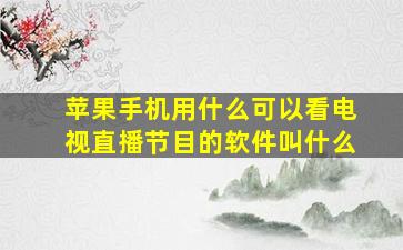 苹果手机用什么可以看电视直播节目的软件叫什么