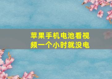 苹果手机电池看视频一个小时就没电