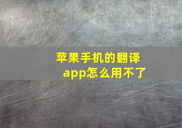 苹果手机的翻译app怎么用不了