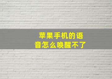 苹果手机的语音怎么唤醒不了