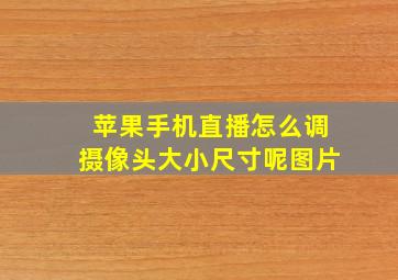 苹果手机直播怎么调摄像头大小尺寸呢图片