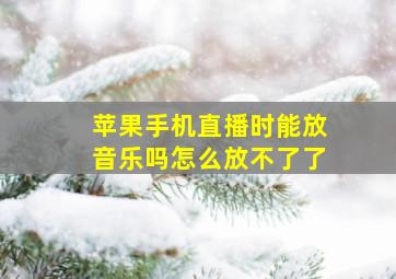 苹果手机直播时能放音乐吗怎么放不了了