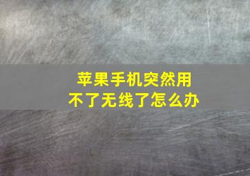 苹果手机突然用不了无线了怎么办