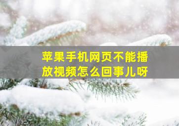 苹果手机网页不能播放视频怎么回事儿呀