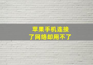 苹果手机连接了网络却用不了