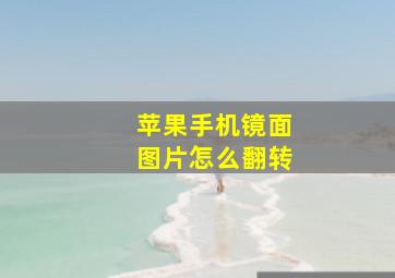 苹果手机镜面图片怎么翻转