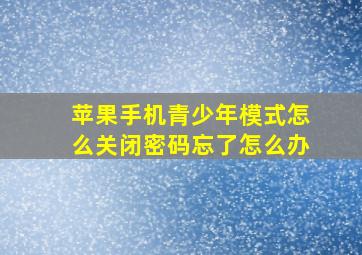 苹果手机青少年模式怎么关闭密码忘了怎么办