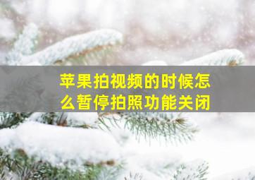 苹果拍视频的时候怎么暂停拍照功能关闭