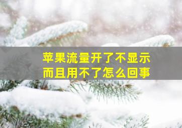 苹果流量开了不显示而且用不了怎么回事